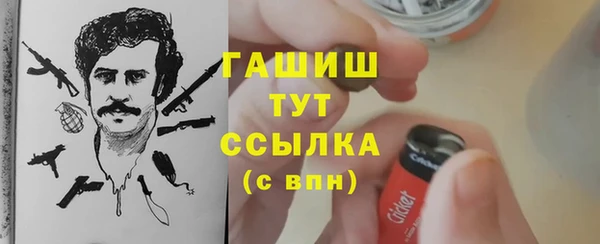 стаф Магас