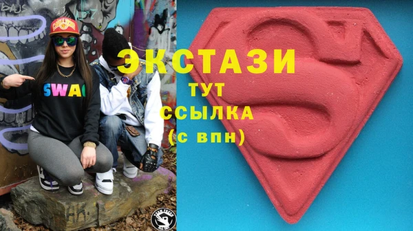 стаф Магас