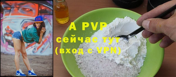 стаф Магас