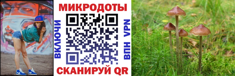 Купить  Крым  Галлюциногенные грибы прущие грибы 